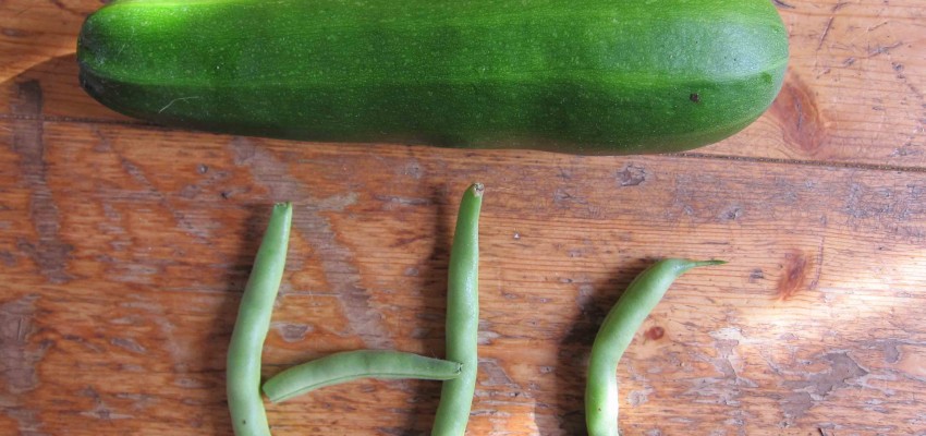 DY indoor veggies