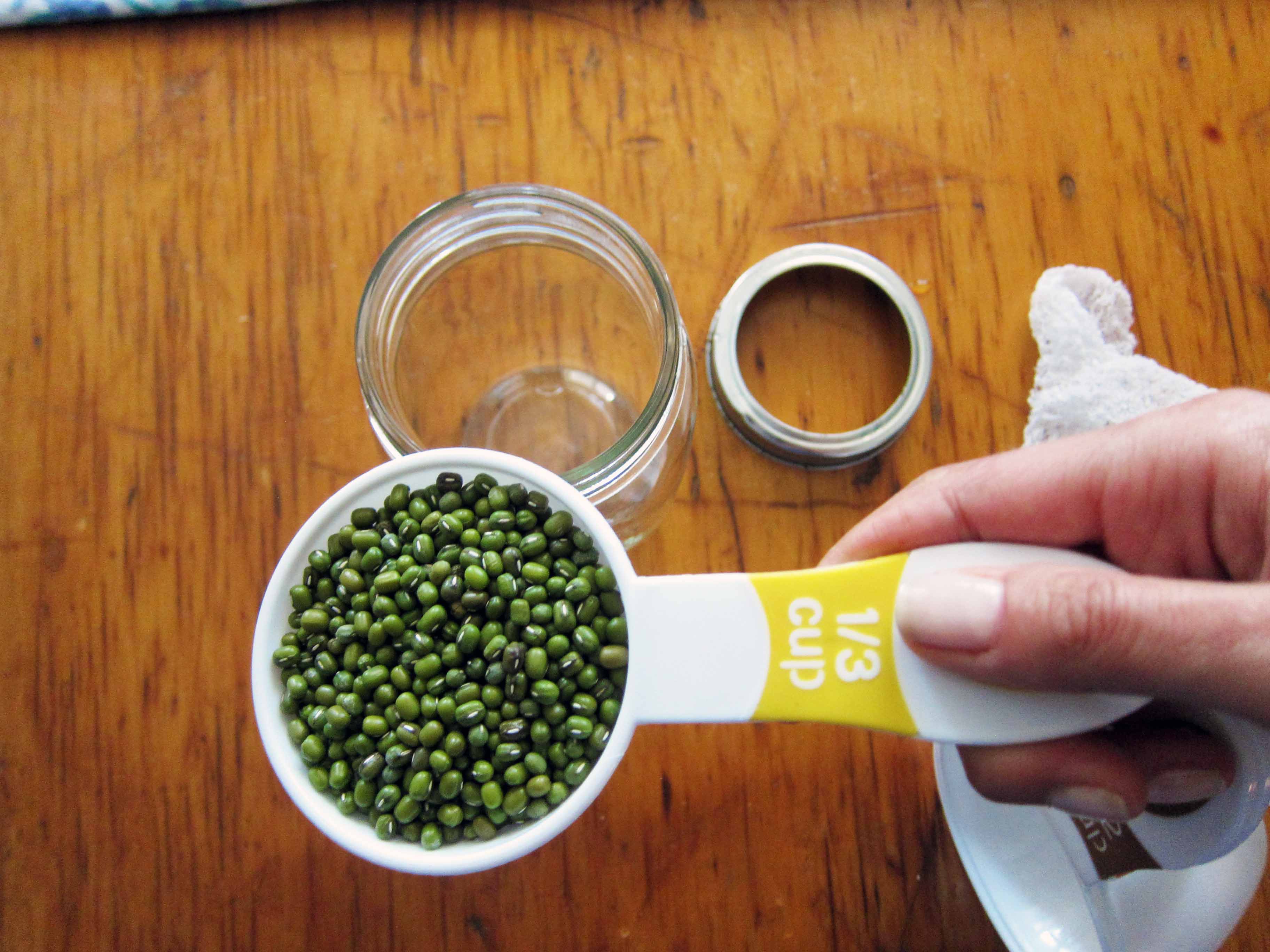 DIY Sprouting Lentils in a Mason Jar