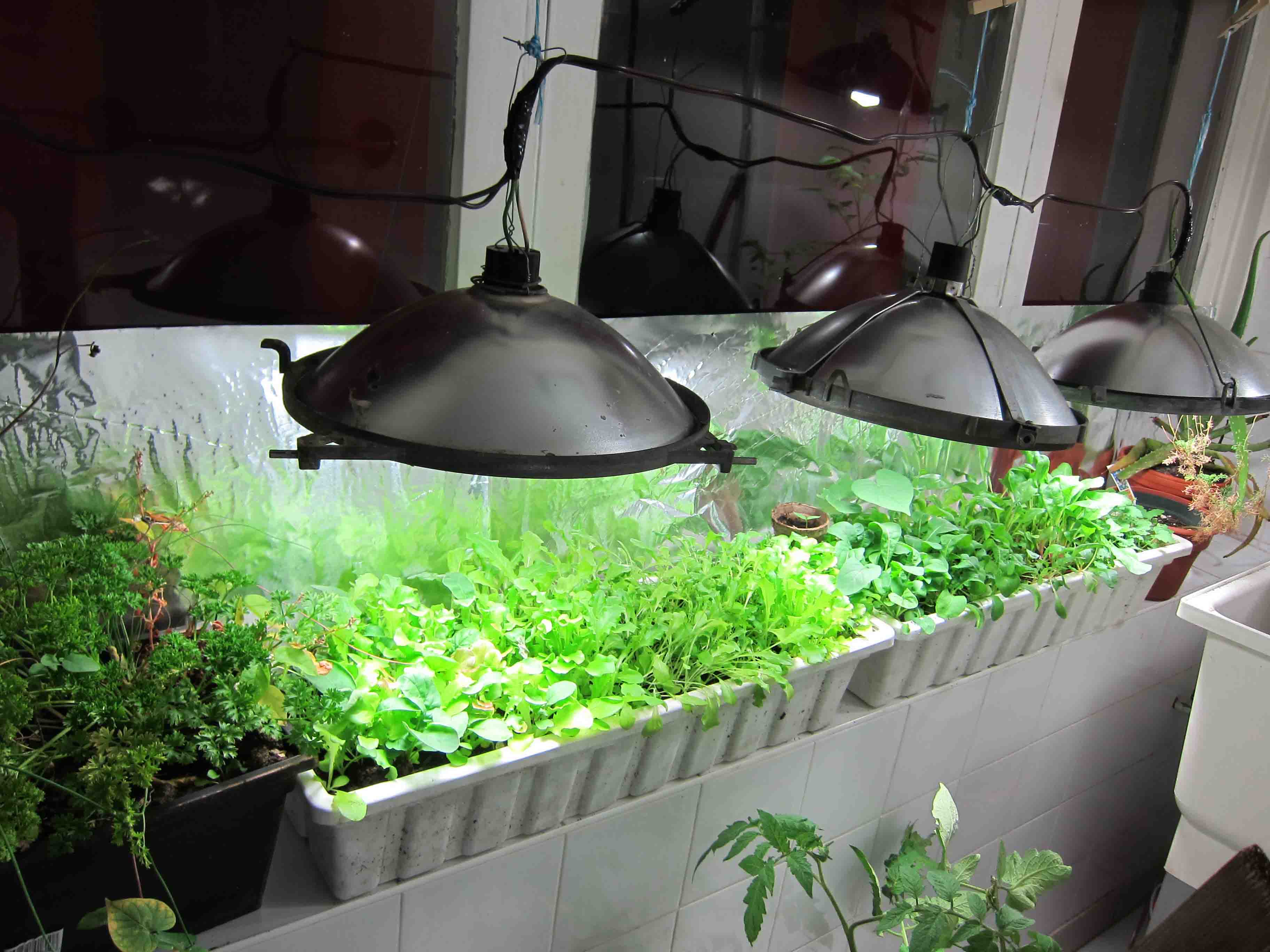 DIY Indoor Greenhouse