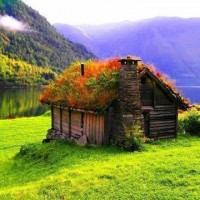 green roof home