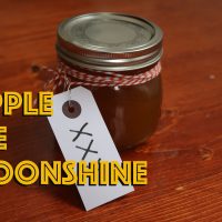 Apple pie mooonshine