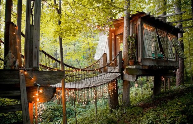 tiny house in a tree is the most popular getaway on airbnb