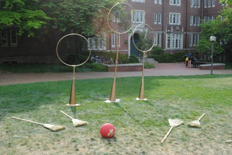 Backyard Quidditch