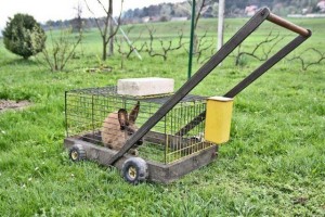 Eco-friendly lawn mower