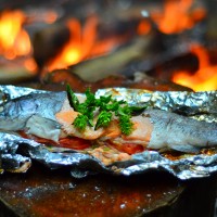 Fillet Fish How to