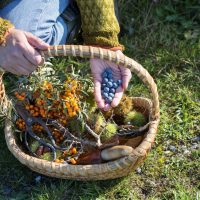camping food