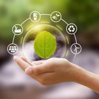 Hand holding a bubble of leaf with eco icon and Nature background metaphor sustainable lifestyle and Eco friendly