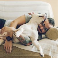 vegan dog food
