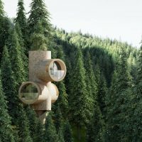 Minion Tiny home