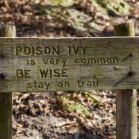 Poison ivy sign