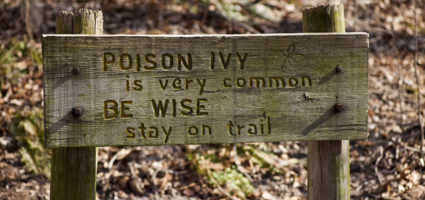 Poison ivy sign
