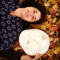 puffball mushrooms