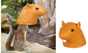 Hilariously Nutty Squirrel Feeders