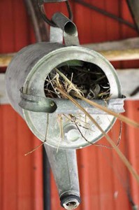 Watering Can DIY Upcycled Bird House