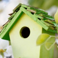 blog_spring_birdhouse