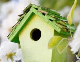 blog_spring_birdhouse