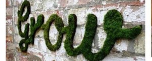 Green living: Green Graffiti