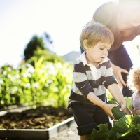 natural Pesticides