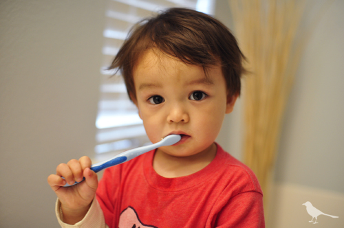 toddler-brushing-teeth