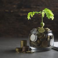 sustainability